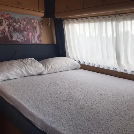 Campsite Agri Italiano - Eucalyptus
